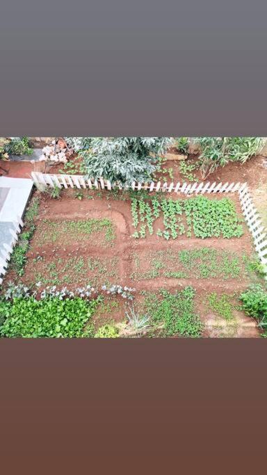 Nethersole Dam Saifarms Private Farmhouse Between Pune & Lonavala מראה חיצוני תמונה