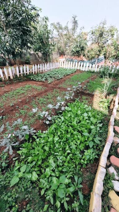 Nethersole Dam Saifarms Private Farmhouse Between Pune & Lonavala מראה חיצוני תמונה