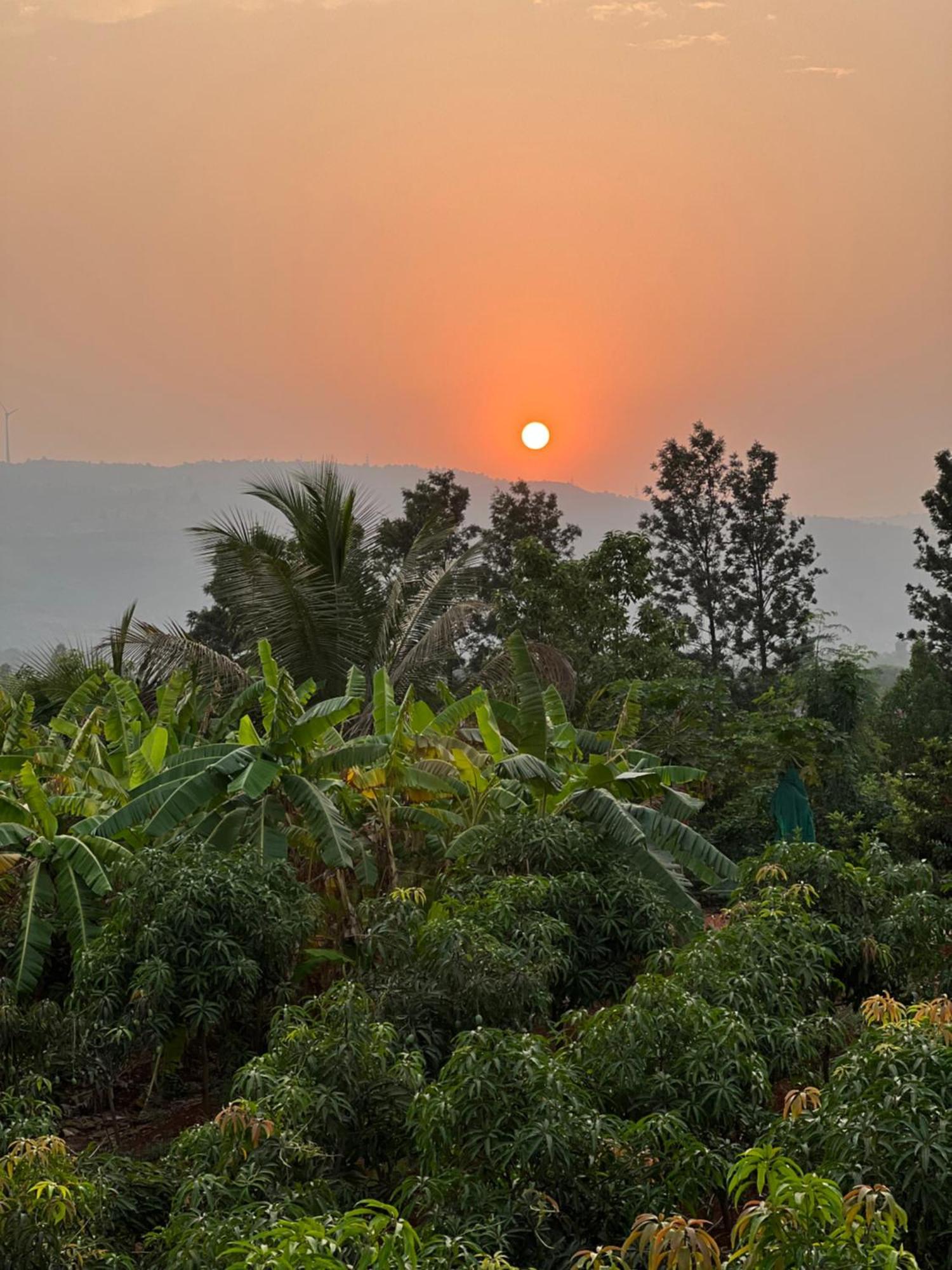 Nethersole Dam Saifarms Private Farmhouse Between Pune & Lonavala מראה חיצוני תמונה